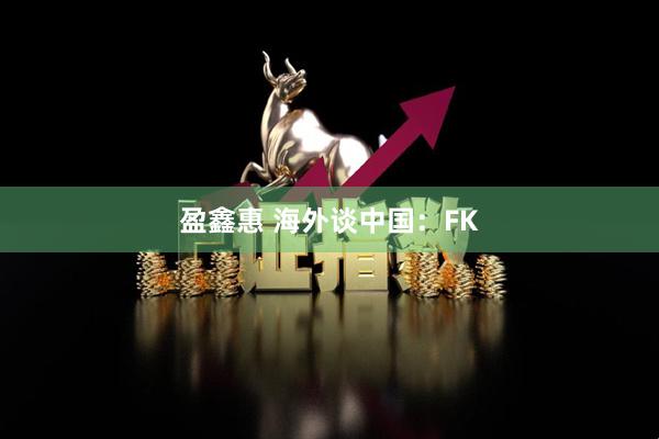 盈鑫惠 海外谈中国：FK