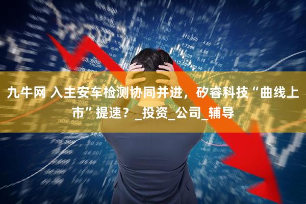 九牛网 入主安车检测协同并进，矽睿科技“曲线上市”提速？_投资_公司_辅导