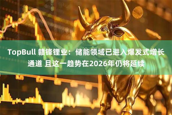 TopBull 赣锋锂业：储能领域已进入爆发式增长通道 且这一趋势在2026年仍将延续