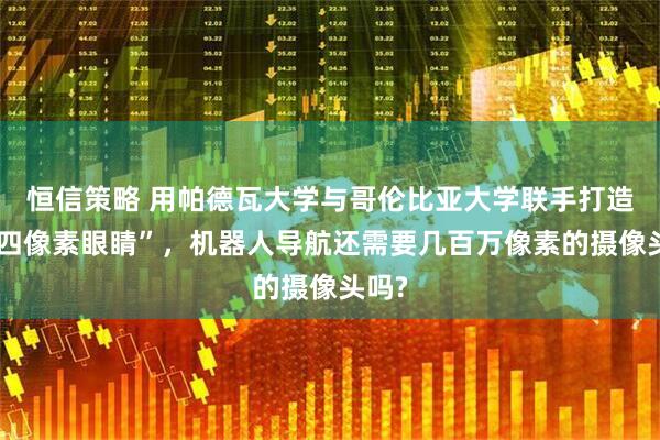 恒信策略 用帕德瓦大学与哥伦比亚大学联手打造的“四像素眼睛”，机器人导航还需要几百万像素的摄像头吗?
