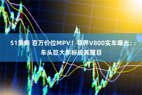 51策略 百万价位MPV！尊界V800实车曝光：车头巨大车标极其醒目