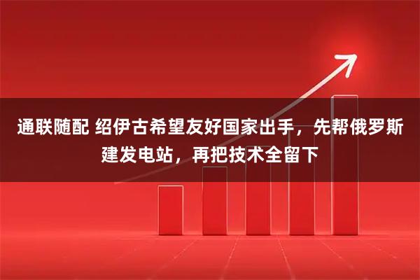通联随配 绍伊古希望友好国家出手,先帮俄罗斯建发电站,再把技术全留下